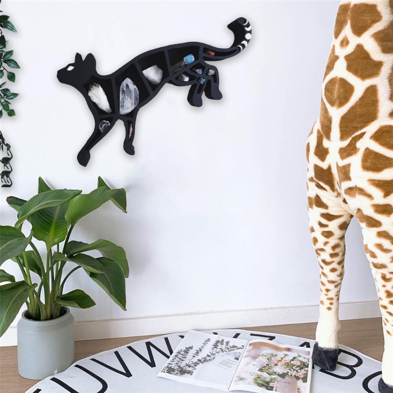 Kệ Trưng Bày Trang Sức Hình Rắn Bằng PVC Trong Suốt