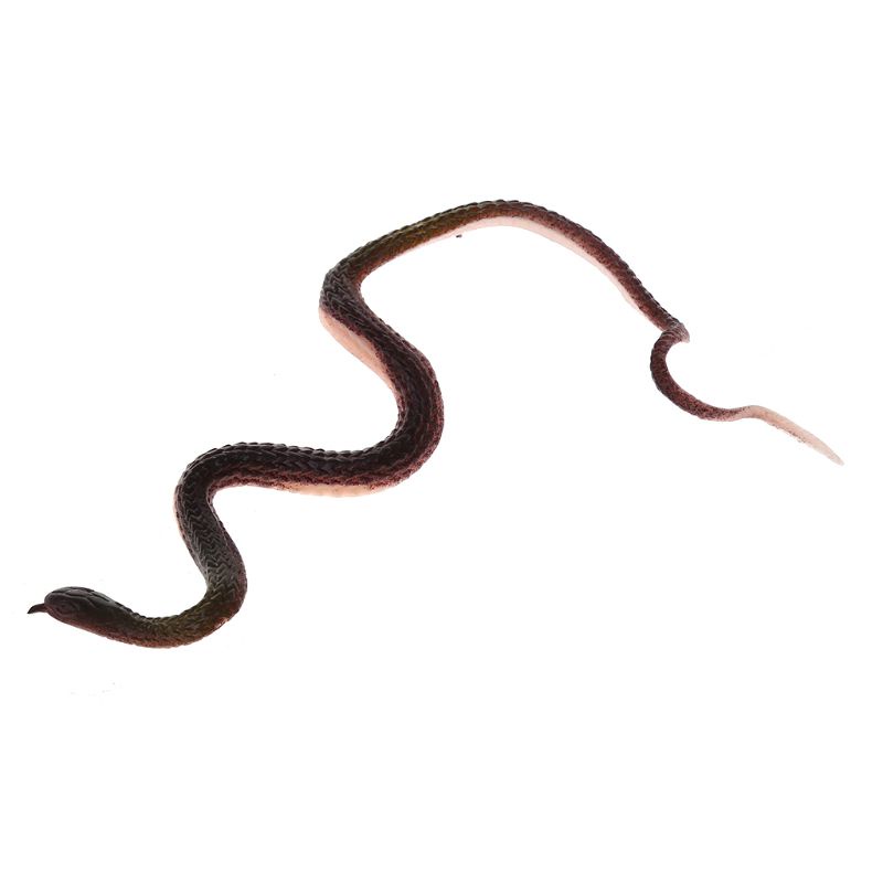 Rắn Cao Su Đồ Chơi Cho Bé