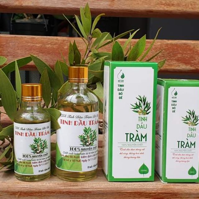 Tinh dầu tràm Huế