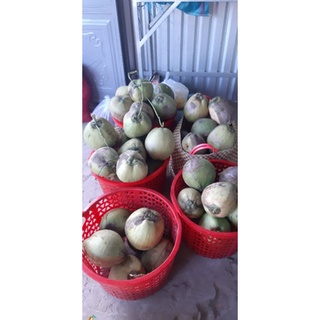 Dừa sáp Đặc Sản Cầu Kè(loại sệt)