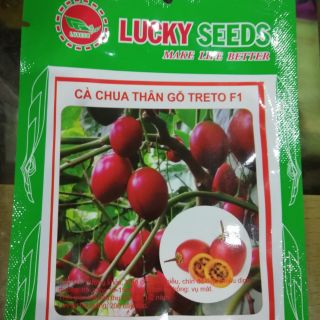 Cà chua thân gỗ f1