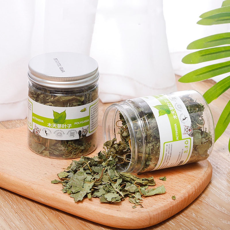 Lá Nho Bạc Actinidia Polygama (Silver Vine) Khô Hũ 10g AP10 MIAOCAT