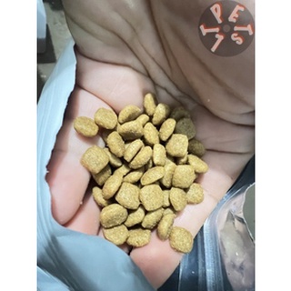 Thức ăn cho chó Hạt Dr.glint ( Chuyên dụng cho dòng bull ) bịch 2kg