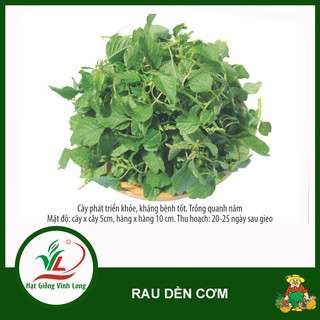 Hạt giống rau Dền cơm RD 86 - 10g