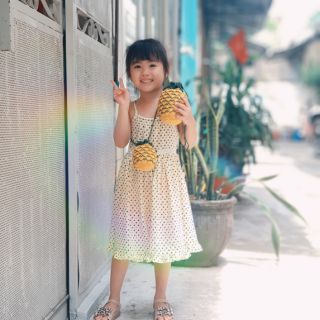 Túi trái Thơm Handmade