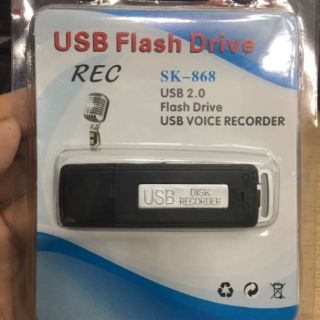 Usb ghi âm mini 8gb
