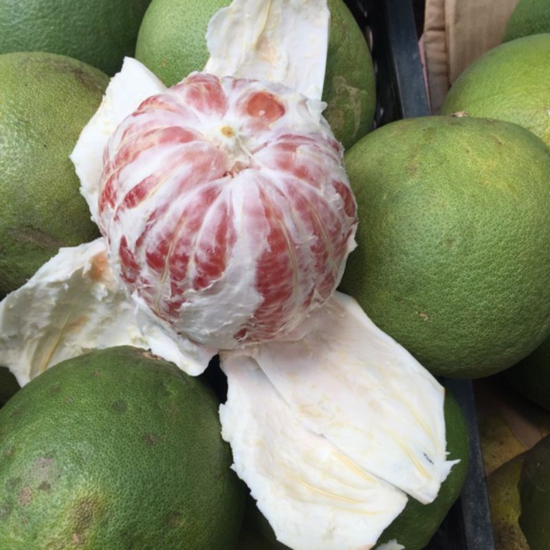 Cây bưởi da xanh