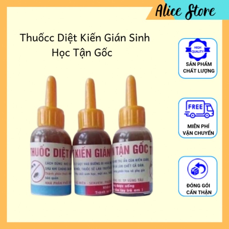 Lọ Phấn Hoa, Mật Mía Diệt Kiến, Gián Hiệu Quả