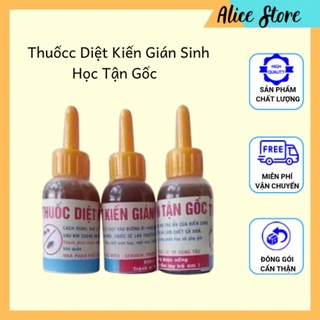 Lọ phấn hoa, mật mía diệt kiến, gián hiệu quả