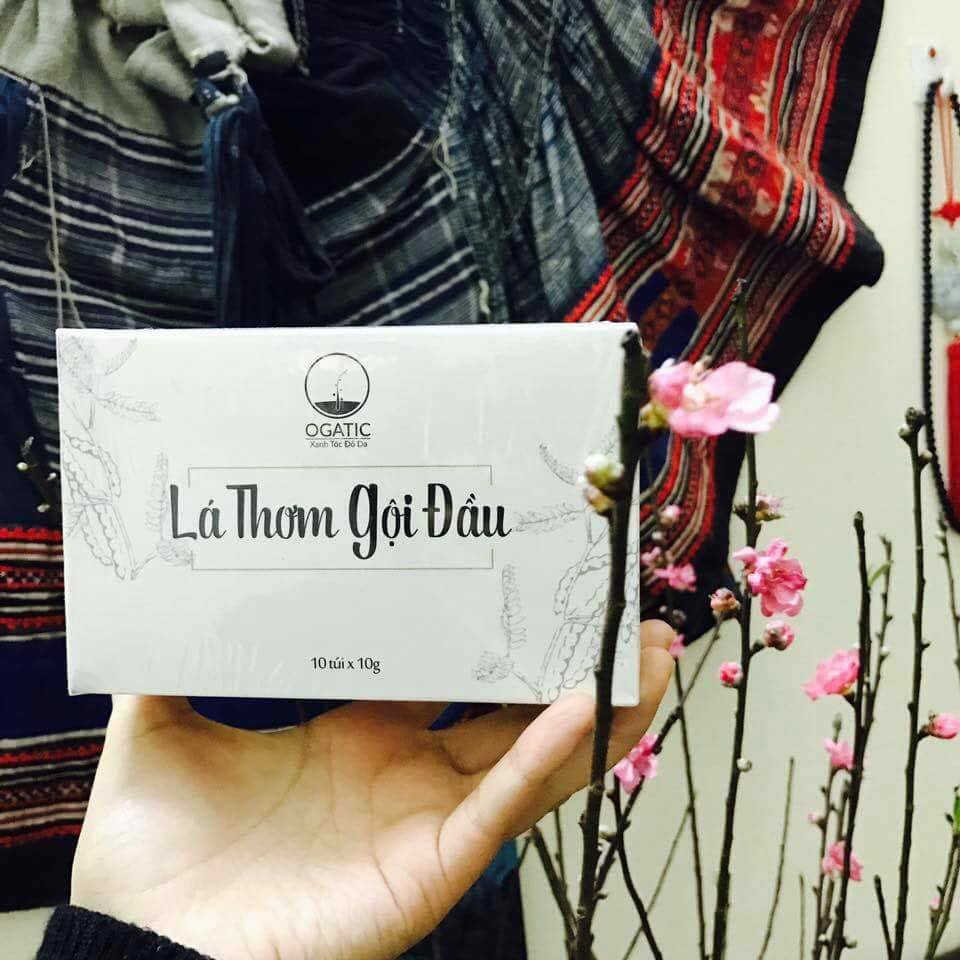 Gội Đầu Lá Thơm sản phẩm đến từ thiên nhiên OGATIC