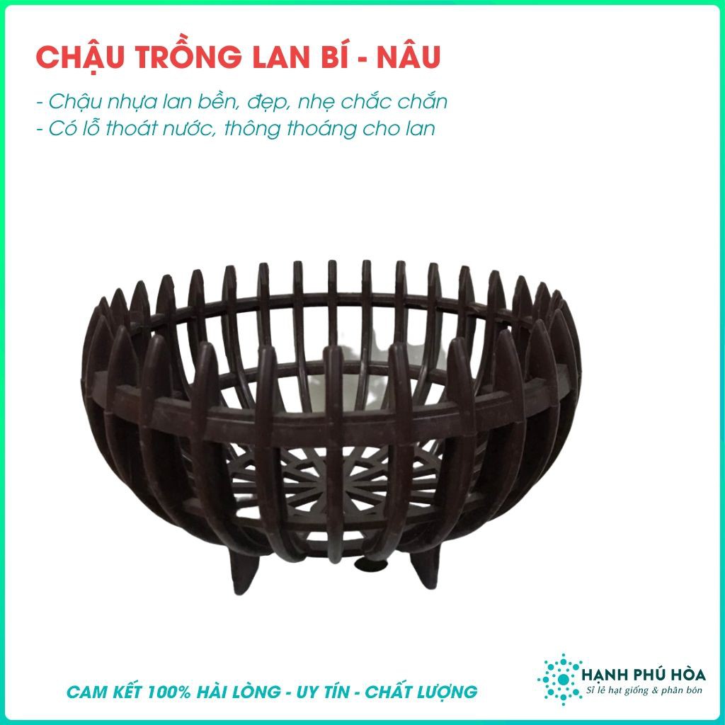 Bộ 5 Chậu Lan Nhựa Bí - Trồng Hoa Kiểng - Nâu