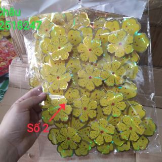 Bông mai dán cửa kính