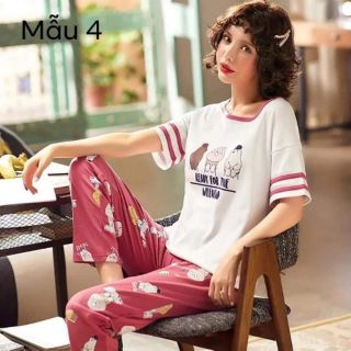 Bộ quần áo nữ hàng đẹp