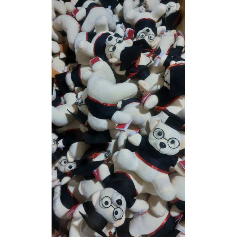 GẤU BÔNG TỐT NGHIỆP. GẤU BÔNG CỬ NHÂN