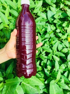 Siro xương rồng