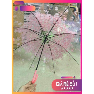 [ SIÊU KHUYẾN MẠI ] Ô dù trong suốt hoa văn 3D.