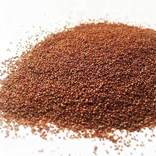 HẠT GIỐNG TRÂN CHÂU THẦN THÁNH