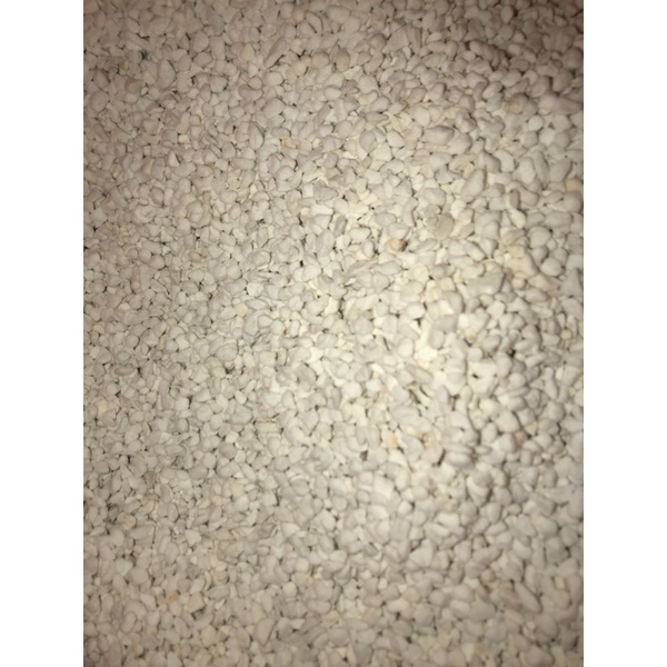 Đá PERLITE 50g