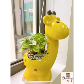 Chậu đất nung - chậu hươu cao cổ tráng men miệng 10, cao 30cm