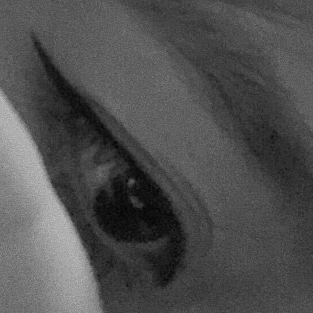 trannhuhuynh09092003