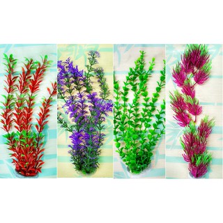 [HÀNG CÓ SẴN] Bộ 3 Cây Rong Nhựa Dài Nhiều Màu, Shop Giao Mẫu Ngẫu Nhiên