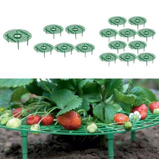 Set 1 Giá Đỡ Chậu Dâu Tây Chuyên Dụng