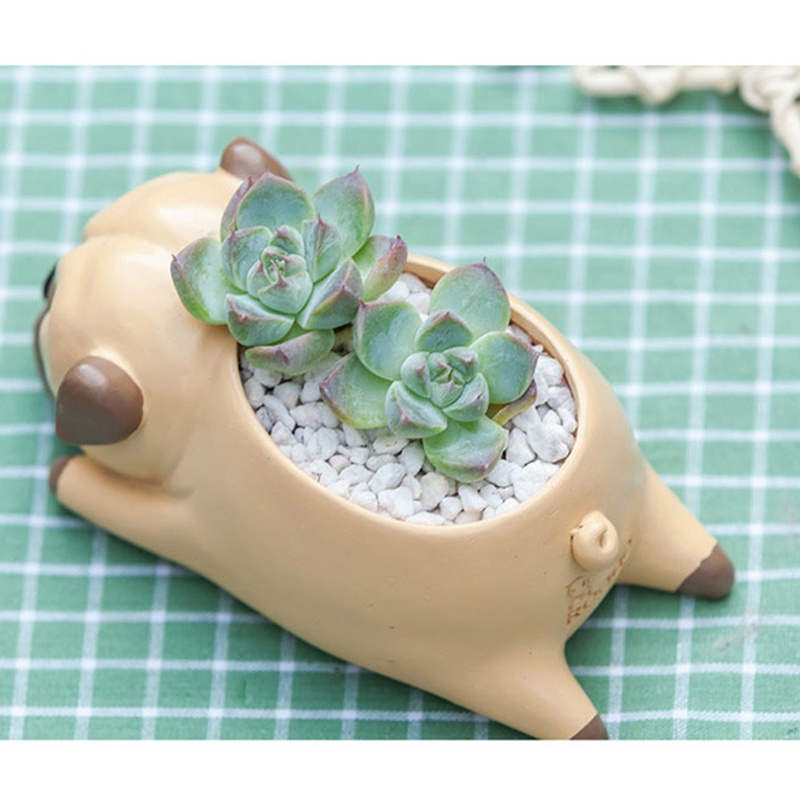 Khuôn silicone làm chậu cây mọng nước hình chú chó DIY