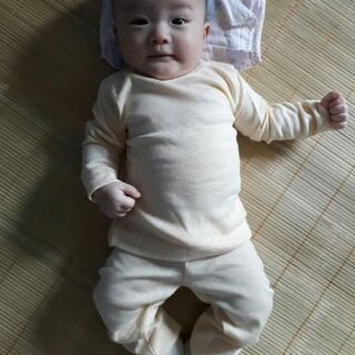 Combo 4 bộ cotton len cho bé lớp