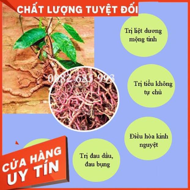 combo 5 cây ba kích (mua 5 tặng 1) ba kich ngâm rượu