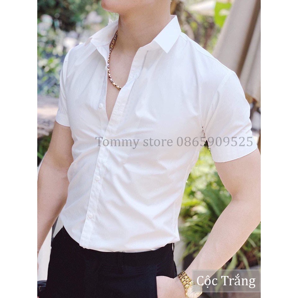Áo Sơ Mi Nam Ngắn Tay Chất Lụa Cotton Mềm Không Nhăn Dáng Ôm Body Hàn Quốc | BigBuy360 - bigbuy360.vn