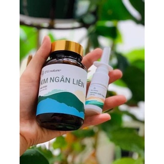 Kim Ngân Liên DVi Nature