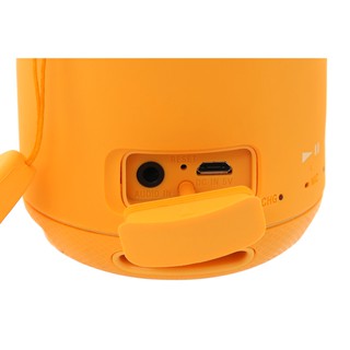 Loa di động Bluetooth Sony SRS-XB10