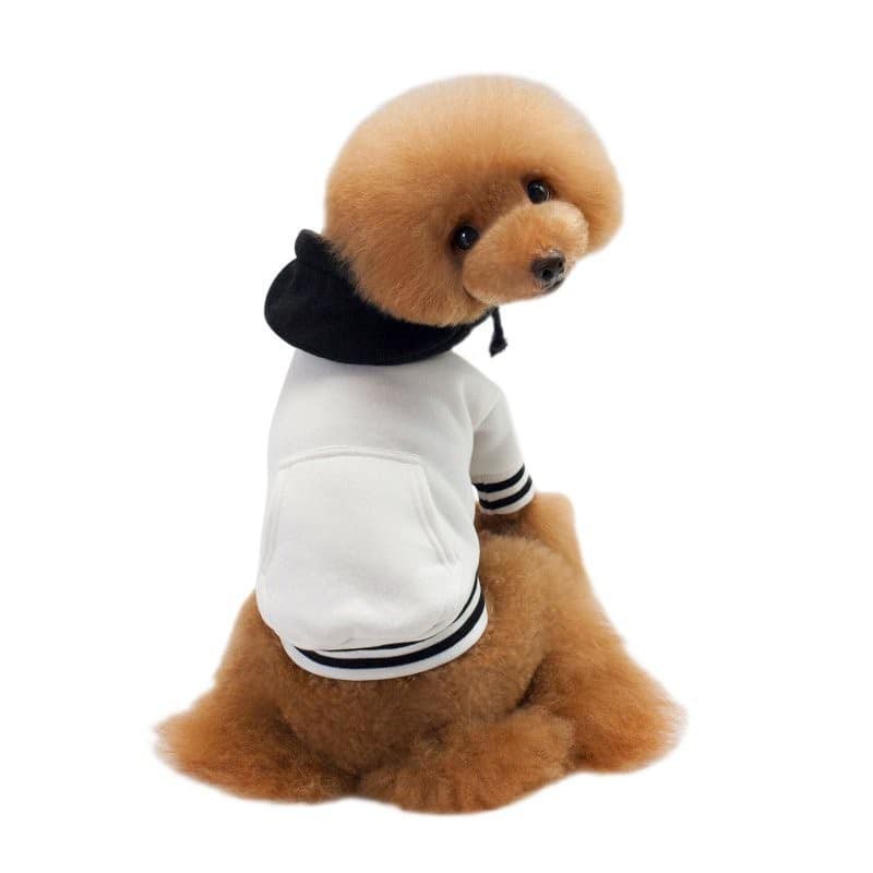Áo hoodie thể thao cho thú cưng 100% cotton