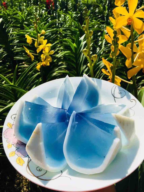 1kg Hoa Đậu Biếc Khô