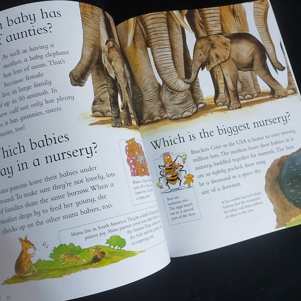 I wonder why   + mp3