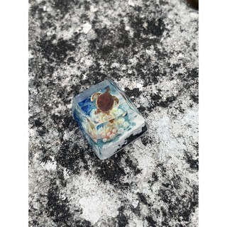 keycap rùa biển