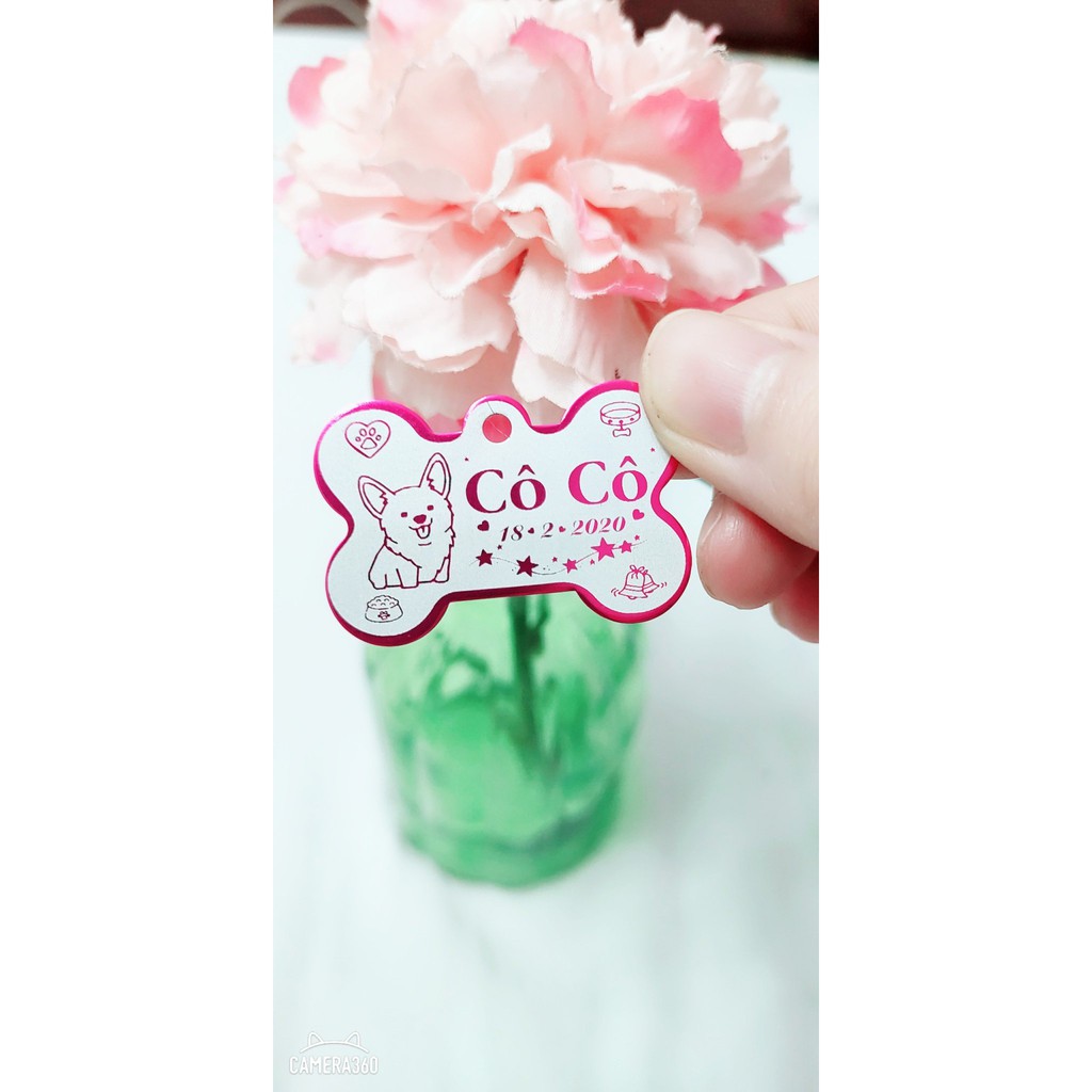 Thẻ tên cho chó mèo - Pettag