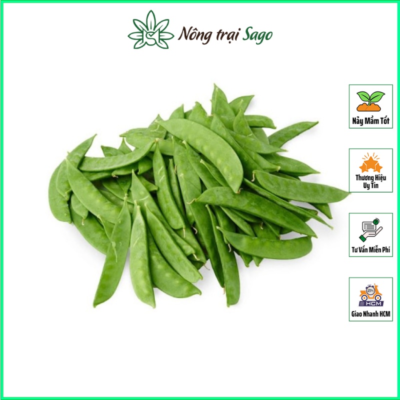 Hạt giống Đậu Hà Lan Lấy Trái Giòn Ngọt, Trồng Quanh Năm (gói 20 gr) - Nông Trại Sago