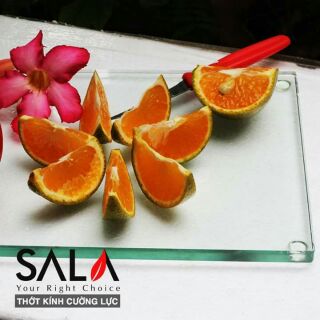 Thớt kính cường lực