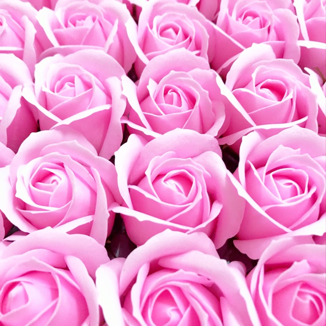 Hoa sáp 3 lớp 100k/ hộp