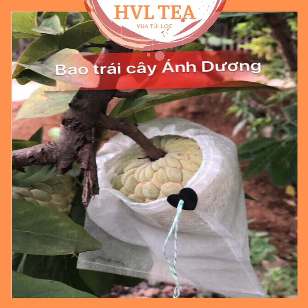 Túi bọc trái cây, ổi, cam, na, mãng cầu, bưởi, Ánh Dương, có nút cài - HVL TEA