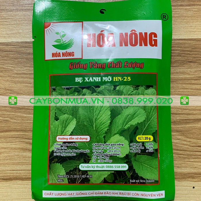 Giống cải bẹ xanh mỡ HN-25 gói 20gr [ Giống vàng chất lượng ]
