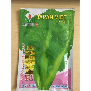 Hạt giống cải canh (20gam)