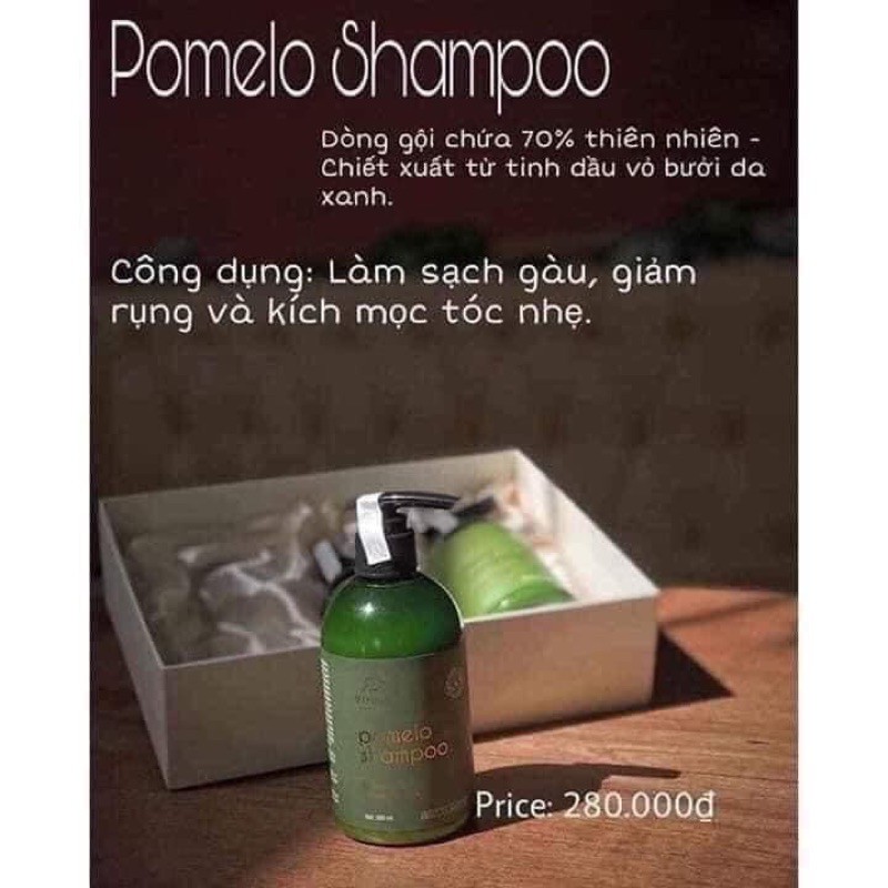 DẦU GỘI BƯỞI - POMELO SHAMPOO