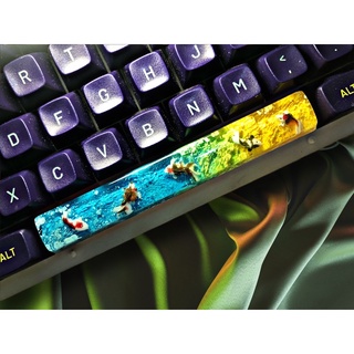 Nút bàn phím / keycap resin cá koi phím space