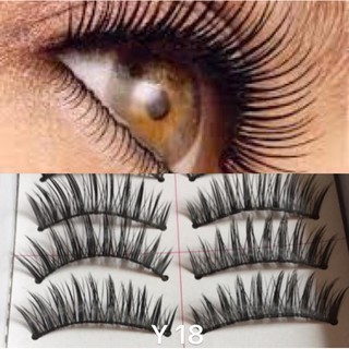 Mi giả - mi tóc tự nhiên,  Mi số Y18 gân thường