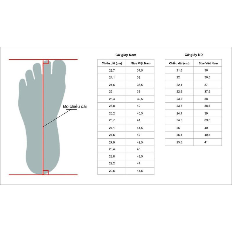 Giày thể thao Nam Nữ supperstar  - Hình thật 100% : Cam kết chất lượng
