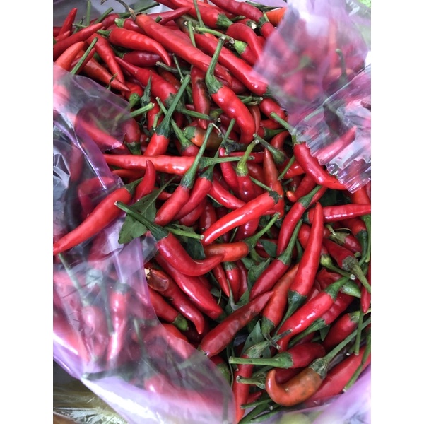 ớt đỏ lâm đồng 500gr