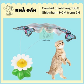 Bươm bướm điện cho mèo chơi