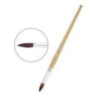 CỌ VẼ MÀU NƯỚC PENTEL ZBS(từ số 0 tới số 12)